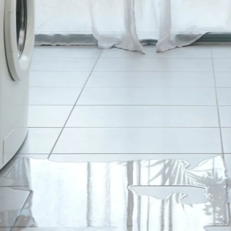 Appliance Leak Cleanup in Henderson County, KY