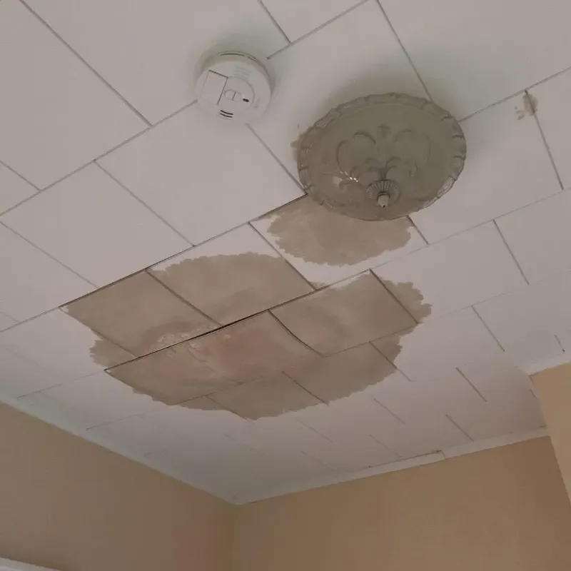 Ceiling Water Damage Repair in Henderson County, KY