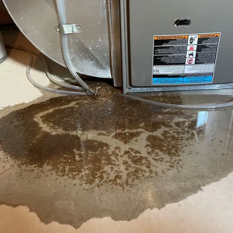 Pipe Burst and Leak Restoration in Henderson County, KY