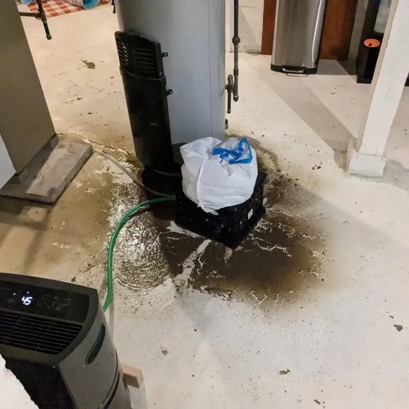 Sewage Backup Cleanup Service in Henderson County, KY